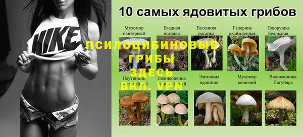 каннабис Алексеевка