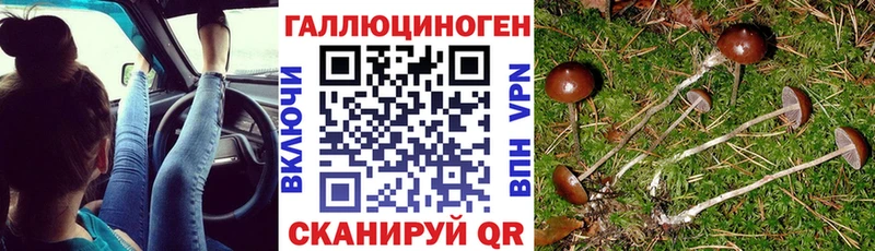 hydra зеркало  цена наркотик  Макушино  Галлюциногенные грибы Cubensis 